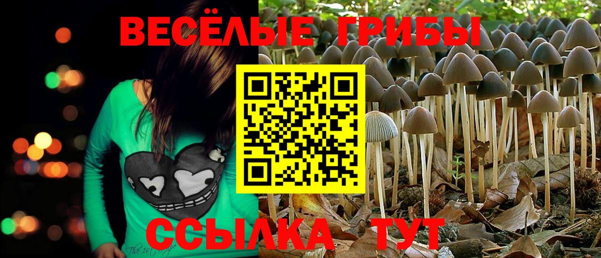 Псилоцибиновые грибы мухоморы Майкоп